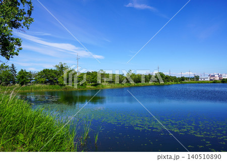 ヘラブナ広場の奥の方の沼を見て(岩見沢市北村・北村中央公園) ヘラブナ広場の奥の方の沼を見て(岩見沢市北村・北村中央公園) 140510890