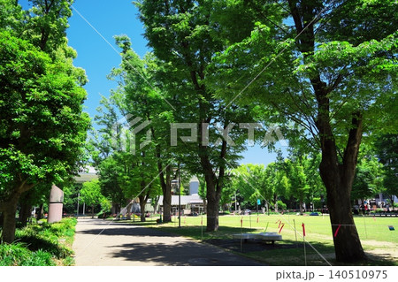 名古屋市久屋大通公園北端シバフヒロバ横の歩道 名古屋市久屋大通公園北端シバフヒロバ横の歩道 140510975