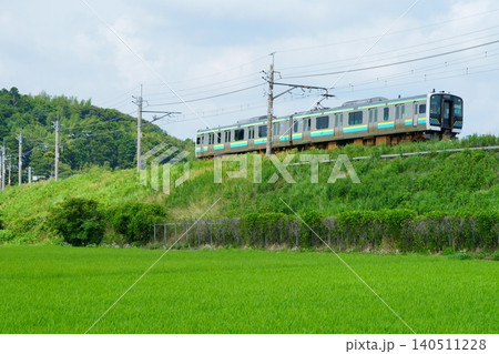 鹿島線の築堤を走るE131系 140511228