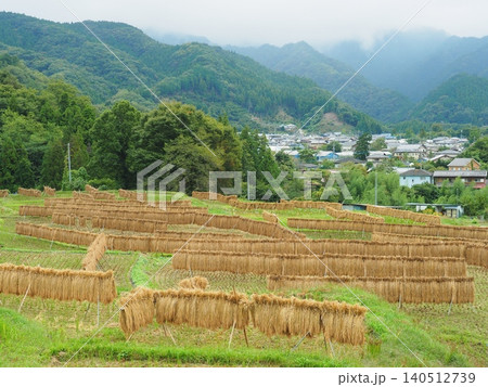 寺坂棚田のはさがけ 寺坂棚田のはさがけ 140512739