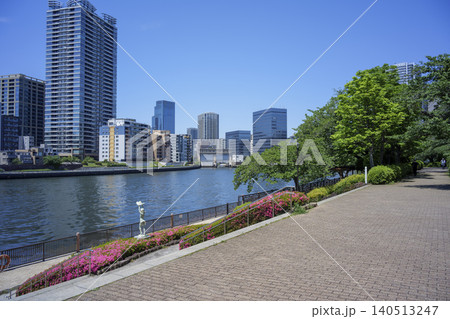 初夏の隅田川の風景　東京都中央区 140513247