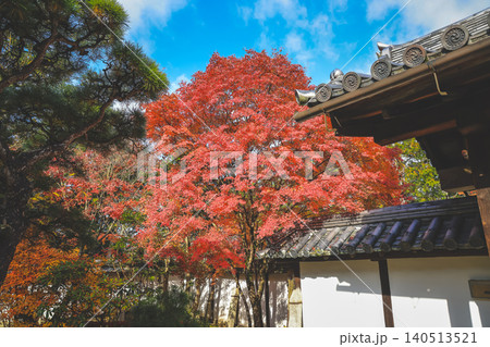 Serene Tenju an Temple Garden in Historic Kyoto Nov 26 2025 Serene Tenju an Temple Garden in Historic Kyoto Nov 26 2025 140513521
