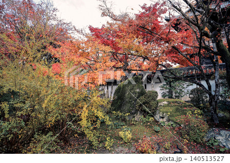 Autumn Colors in Tenju-an Zen Garden Kyoto Nov 26 2025 Autumn Colors in Tenju-an Zen Garden Kyoto Nov 26 2025 140513527