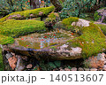 Moss Covered Stone in Tenju an Zen Garden Kyoto Nov 26 2025 140513607