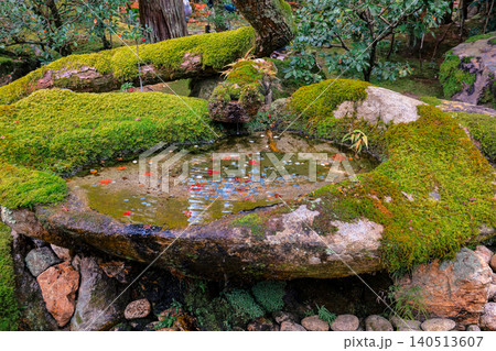 Moss Covered Stone in Tenju an Zen Garden Kyoto Nov 26 2025 140513607