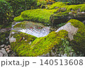 Moss Covered Stone in Tenju an Zen Garden Kyoto Nov 26 2025 140513608