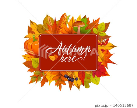 Autumn fall season banner with bright leaves, berries and mushroom, ripe orange pumpkins, corn and Autumn here lettering. Thanksgiving harvest festival banner with fallen leaves wreath frame Autumn fall season banner with bright leaves, berries and mushroom, ripe orange pumpkins, corn and Autumn here lettering. Thanksgiving harvest festival banner with fallen leaves wreath frame 140513697