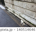 老朽化で表面が剥がれ落ちて破損した大谷石の塀と通路の風景 140514646