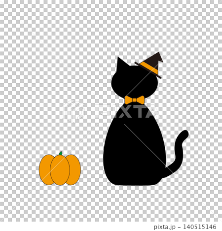 Cute illustration of a black cat and a pumpkin 140515146
