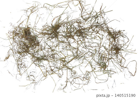 Dry Rice Straw Isolated with Clipping Path on White Background 140515190