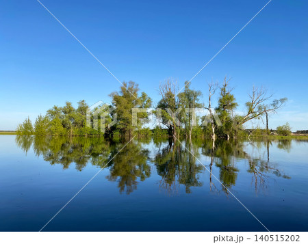 Perfect reflection of green trees in the calm blue water of a river or lake. 140515202
