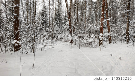Winter forest landscape with trees covered in heavy white snow. 140515210