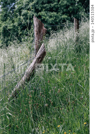Old wooden fence post with barbed wire line separating long grass field Old wooden fence post with barbed wire line separating long grass field 140515384