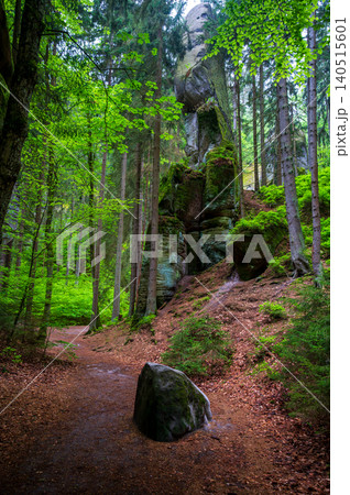 Massive sandstone rock formations along a forest trail in Bohemian Paradise (Cesky raj), Hruba Skala area (Hruboskalsko), Czech Republic, with giant stones rising above woodland path 140515601