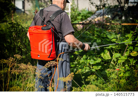 An elderly man, a summer resident, uses a battery-powered sprayer to treat cucumber plants with boric acid in the summer for crop yields and parasites. Copy space for text An elderly man, a summer resident, uses a battery-powered sprayer to treat cucumber plants with boric acid in the summer for crop yields and parasites. Copy space for text 140515773