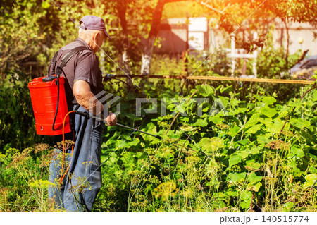 A pensioner with a modern red sprayer treats plants in the summer at his dacha. Increasing yield with succinic acid. Copy space for text, industry A pensioner with a modern red sprayer treats plants in the summer at his dacha. Increasing yield with succinic acid. Copy space for text, industry 140515774