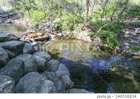 Beautiful Summer Valley Stream in a Lush Korean Forest Beautiful Summer Valley Stream in a Lush Korean Forest 140516834