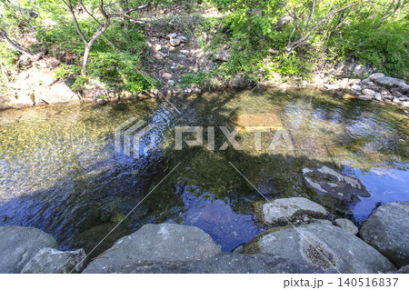 Beautiful Summer Valley Stream in a Lush Korean Forest Beautiful Summer Valley Stream in a Lush Korean Forest 140516837