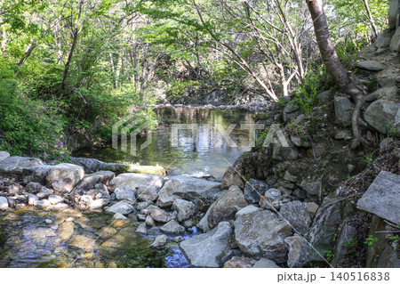 Beautiful Summer Valley Stream in a Lush Korean Forest 140516838