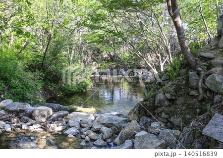 Beautiful Summer Valley Stream in a Lush Korean Forest Beautiful Summer Valley Stream in a Lush Korean Forest 140516839