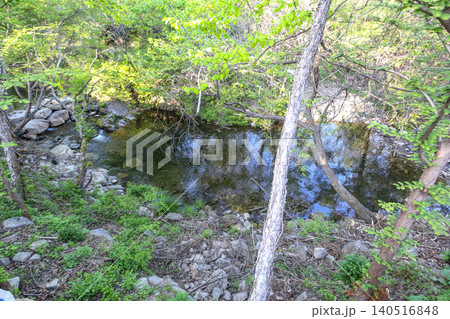Beautiful Summer Valley Stream in a Lush Korean Forest Beautiful Summer Valley Stream in a Lush Korean Forest 140516848