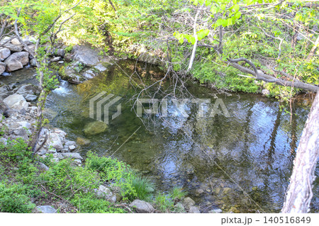 Beautiful Summer Valley Stream in a Lush Korean Forest Beautiful Summer Valley Stream in a Lush Korean Forest 140516849