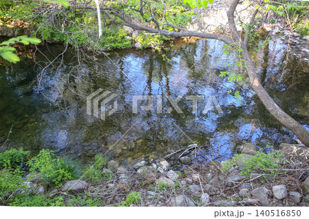 Beautiful Summer Valley Stream in a Lush Korean Forest Beautiful Summer Valley Stream in a Lush Korean Forest 140516850