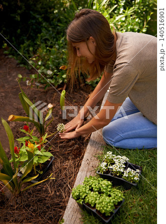 Woman, flowers and gardening for agriculture or sustainability with garden shovel and happiness in backyard. Gardener, person and green fingers with plants and soil for growth or eco friendly hobby Woman, flowers and gardening for agriculture or sustainability with garden shovel and happiness in backyard. Gardener, person and green fingers with plants and soil for growth or eco friendly hobby 140516901