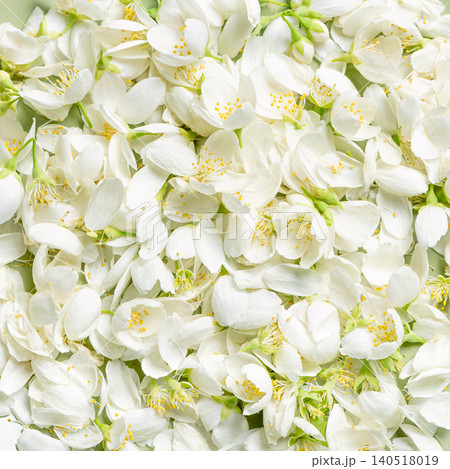 Jasmine petals and flowers texture Jasmine petals and flowers texture 140518019