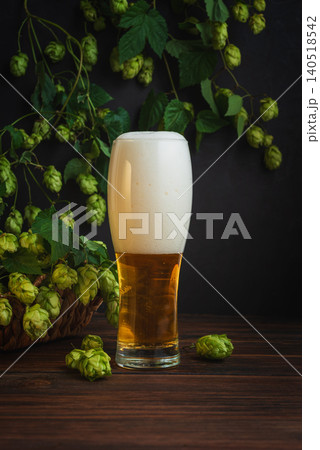 Fresh light beer in glass with hop cones Fresh light beer in glass with hop cones 140518542