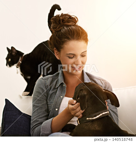 Woman, dog and cat on sofa for animal, pet and together indoor for bonding, affection and friendship. Puppy, lady or owner for laugh and hug with love and scratch for adorable, cute and companion 140518748