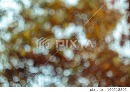 Autumn forest foliage bokeh orange brown nature background 140518895