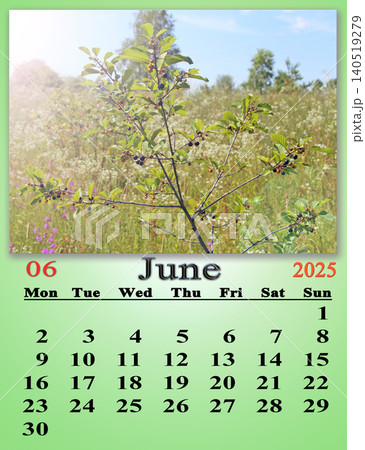 calendar for June 2025 with photo of Branches of Frangula alnus with berries calendar for June 2025 with photo of Branches of Frangula alnus with berries 140519279