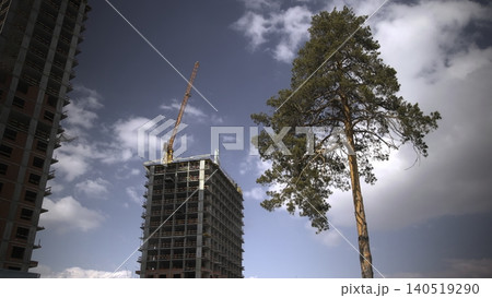 Tree Against Urban Skyscraper Backdrop. Solitary Pine Contrasted With Towering Cityscape Scene . Media Tree Against Urban Skyscraper Backdrop. Solitary Pine Contrasted With Towering Cityscape Scene . Media 140519290