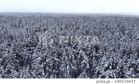Aerial View Of Snowcovered Pine Forest. Expansive Snowy Treetops Stretch Across Dense Forest Canopy. Media Aerial View Of Snowcovered Pine Forest. Expansive Snowy Treetops Stretch Across Dense Forest Canopy. Media 140519437