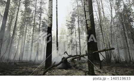 Silent Burnt Wood With Smoke. Serene Scene Of Scorched Timber With Wisps Of Smoke And Muted Daylight . Stock clip Silent Burnt Wood With Smoke. Serene Scene Of Scorched Timber With Wisps Of Smoke And Muted Daylight . Stock clip 140519633