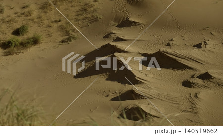 Golden Light Over Sand Patterns. Aerial View Capturing Sand Formations And Minimal Plant Life . Stock Clip 140519662