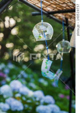 権現堂公園の紫陽花をバックに夕日に照らされる風鈴 権現堂公園の紫陽花をバックに夕日に照らされる風鈴 140519737