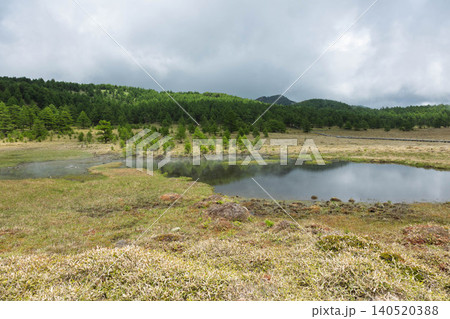 池の平湿原の鏡池 長野県東御市 池の平湿原の鏡池 長野県東御市 140520388