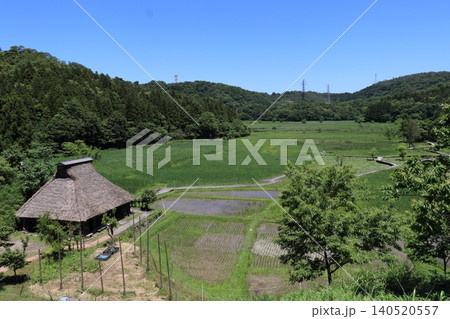初夏の中池見湿地 初夏の中池見湿地 140520557