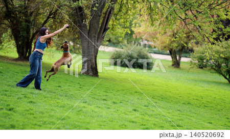 Woman playing with dog in park, pet jumping for toy Woman playing with dog in park, pet jumping for toy 140520692