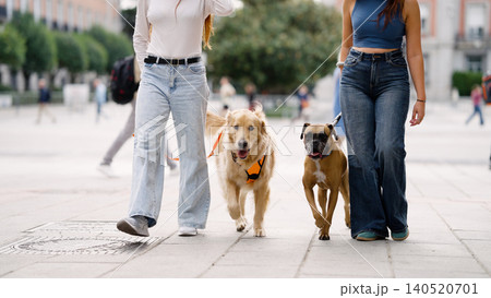 Women walking dogs in urban park walking pets Women walking dogs in urban park walking pets 140520701