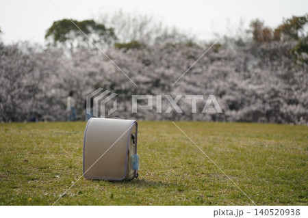 満開の桜を背景に芝生に置いたランドセル 満開の桜を背景に芝生に置いたランドセル 140520938