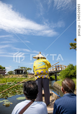 水郷佐原あやめパーク 3 水郷佐原あやめパーク 3 140520993