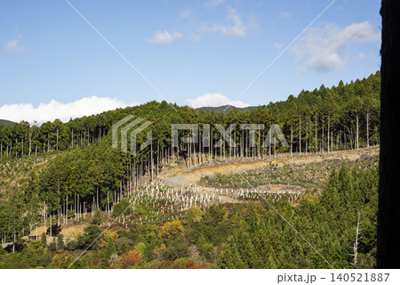 植林された山 植林された山 140521887