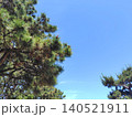 松と青い空　(横向き) 140521911