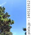 松と青い空　(縦向き) 140521912