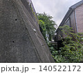 古い高低差のある擁壁　緑 140522172