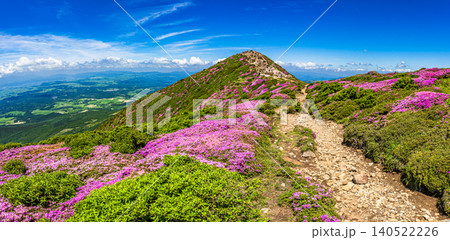 ミヤマキリシマ満開の山々_大分県 くじゅう連山 ミヤマキリシマ満開の山々_大分県 くじゅう連山 140522226