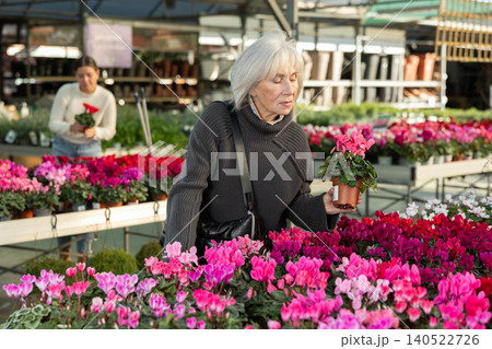 Elderly woman choosing flower pots 140522726